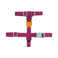 Zee.Dog | H Harness | NOX Sidus