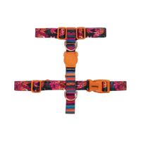 Zee.Dog | H Harness | Selva