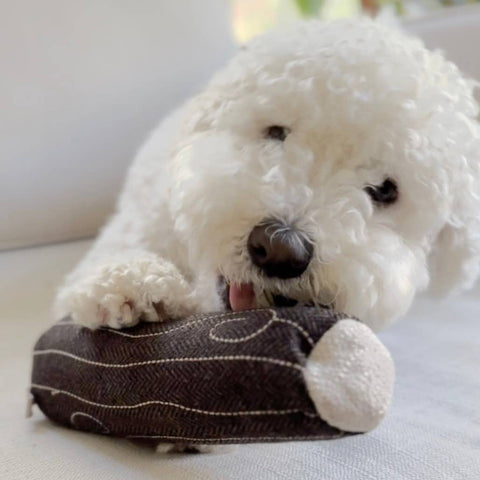 Lambwolf | Enrichment | Fire Log