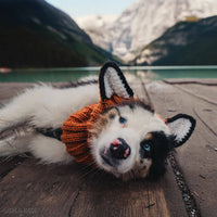 Fox Dog Snood