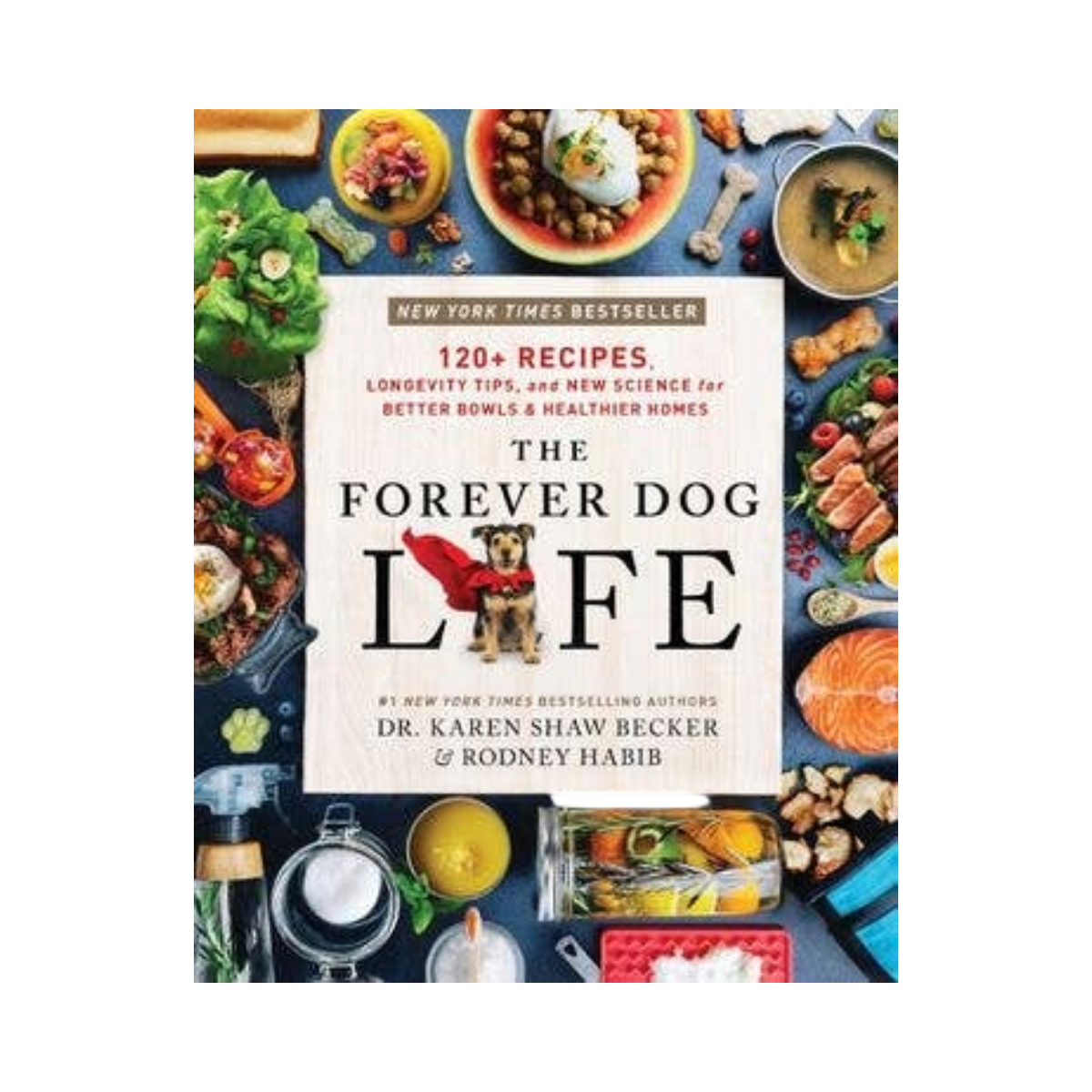 Forever Dog Life, The: Rodney Habib