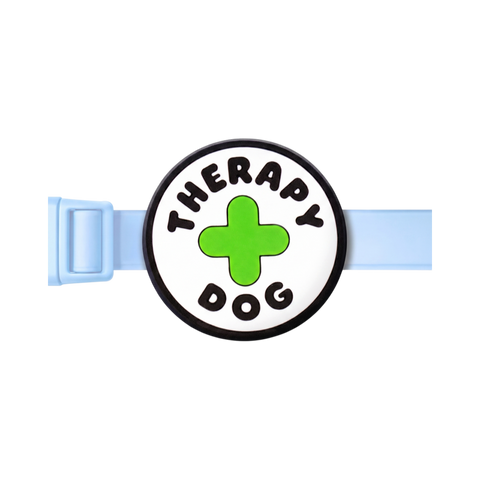Jiby Charms | Therapy Dog