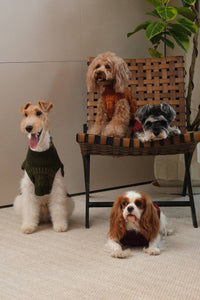 Pehom Pretzel Sweater shown from a side angle highlighting the knit texture and fit on a dog.