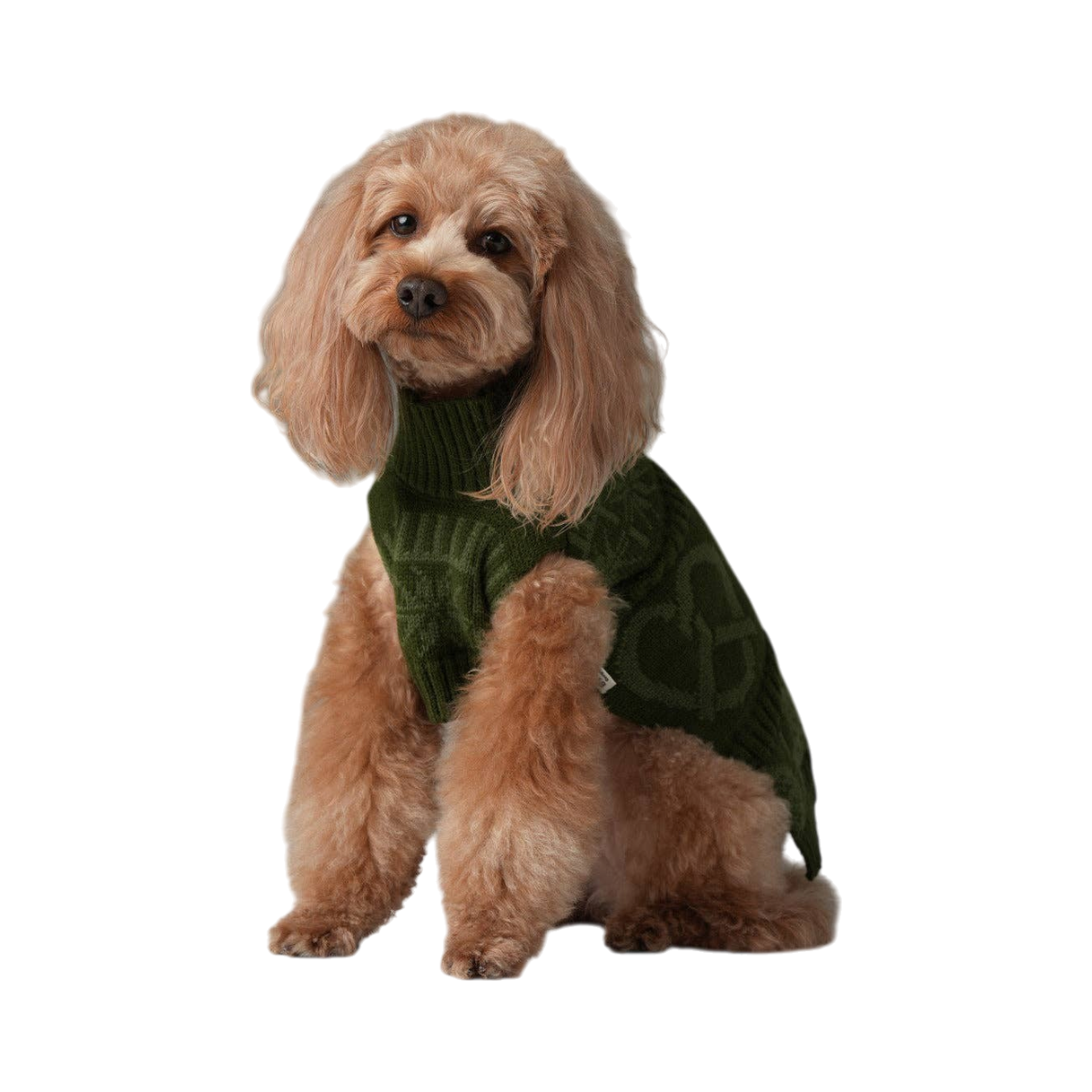 Pehom Pretzel Sweater dog pullover featuring a cozy knit design with pretzel pattern detailing.