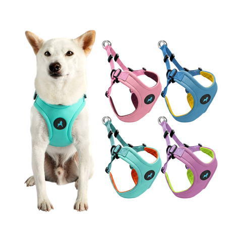 Gooby Escape Free dog harness in soft pastel color, shown as a full product flat lay.