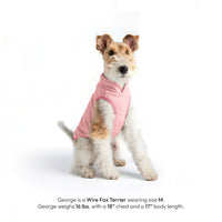 Gooby Everyday Fleece Vest shown on a small dog in a cozy lifestyle setting.