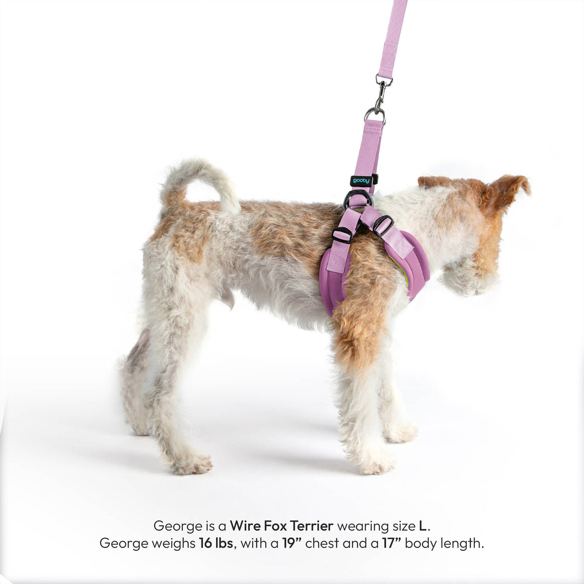 Gooby Escape Free Harness in pastel colorway shown from a detailed close-up angle highlighting secure fit design.