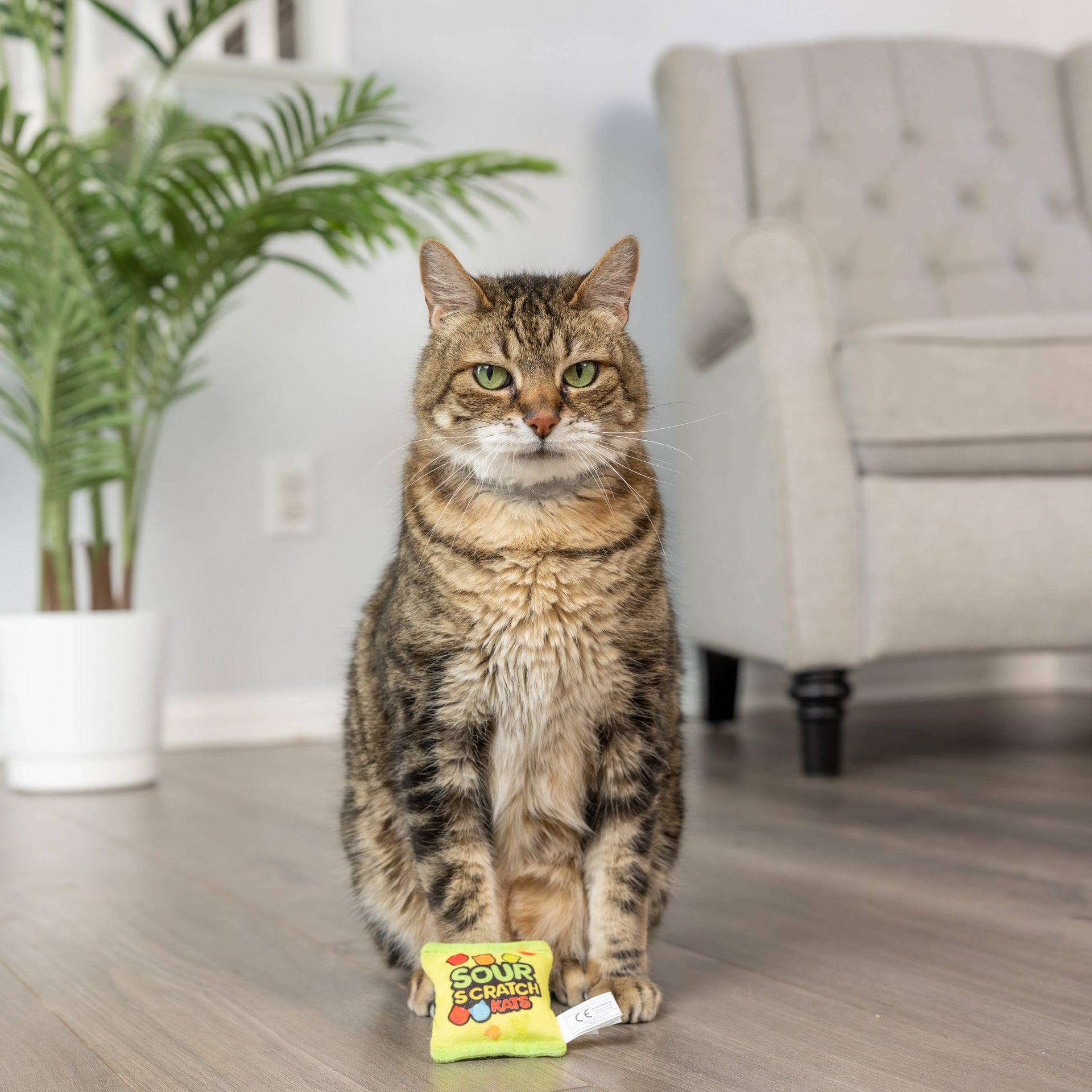 Huxley & Kent Sour Scratch Kats candy-inspired cat toy being played with by an orange tabby cat.