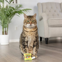 Huxley & Kent Sour Scratch Kats candy-inspired cat toy being played with by an orange tabby cat.