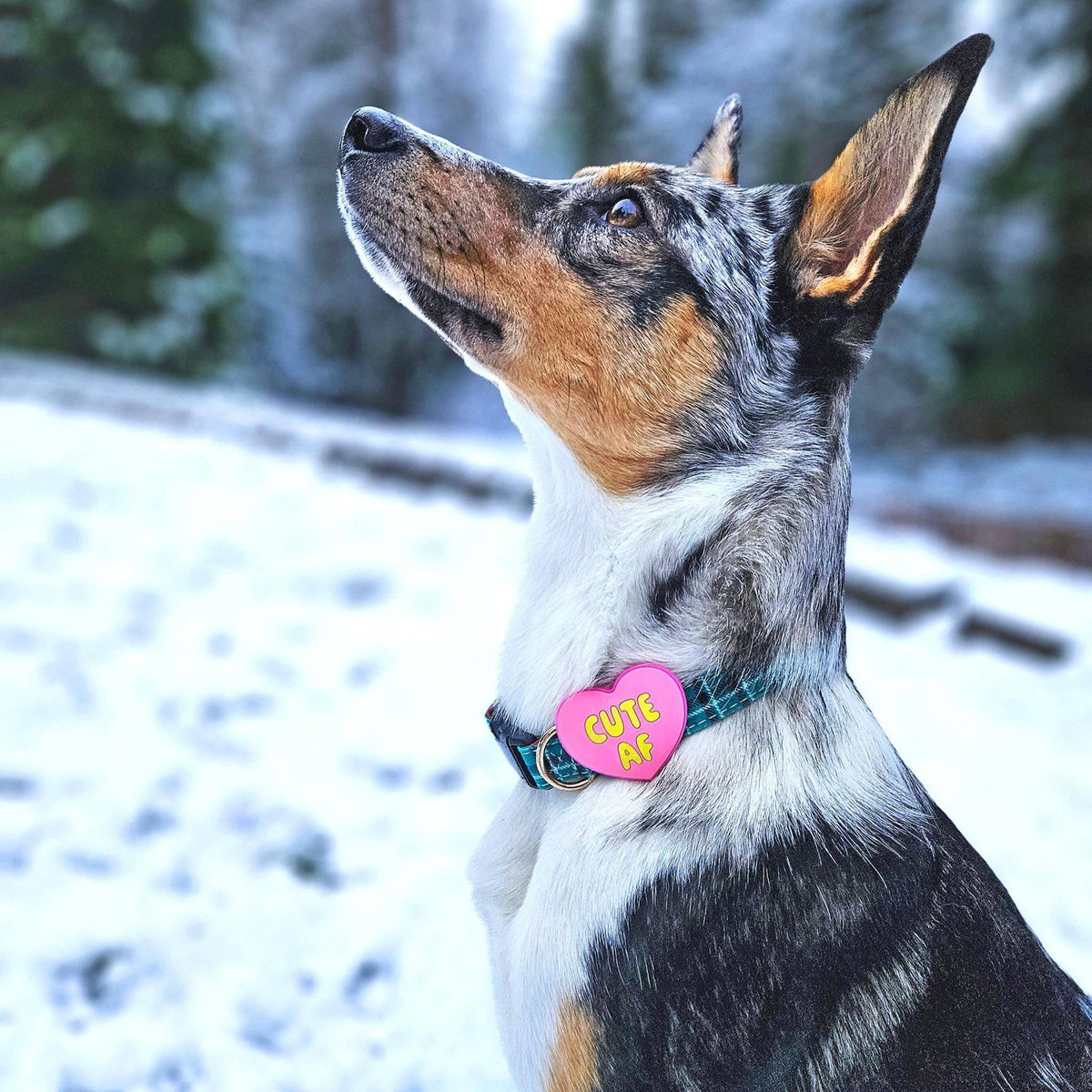Pink Jiby Dog Crew Cute AF charm shown from an alternate angle highlighting its bright color.