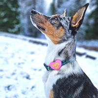 Pink Jiby Dog Crew Cute AF charm shown from an alternate angle highlighting its bright color.