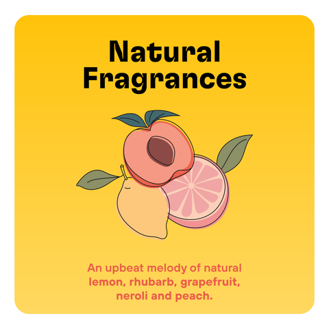 Zoop Pet Odor Eliminating Candle burning in a cozy living room setting with pet accessories nearby.