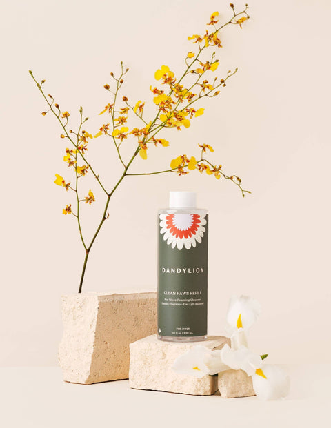 Dandylion | Clean Paws Foaming Cleanser | Refill