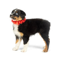 Gold Stars Neck Scrunchie