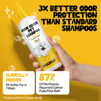 Roofus Coconut Kisses dog shampoo bottle showing ingredient list and product details on back label.