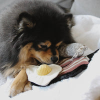 Lambwolf Collective Bfast Set snuffle toy showing textured fabric compartments for interactive dog feeding enrichment.
