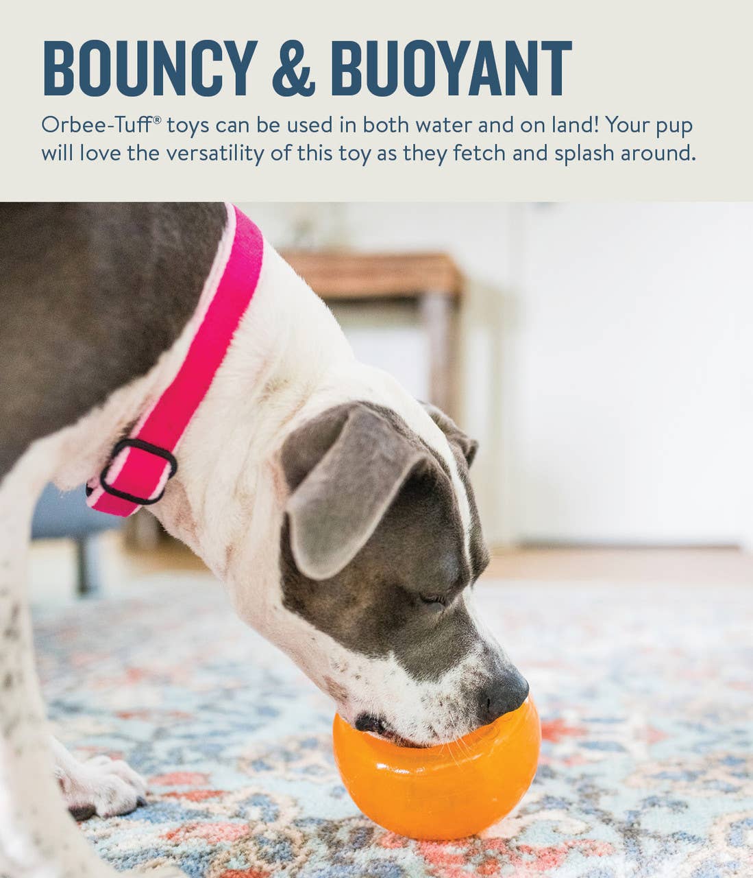 Planet Dog | Interactive Toy | Snoop