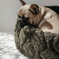 Lambwolf | Taart Pet Bed