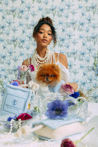 Bridgerton Society Paper Toy