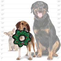 Tuffy Gear Wreath dog toy shown in use, displaying its durable wreath shape and holiday design.