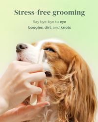 Petora | Pet Facial & Eye Comb