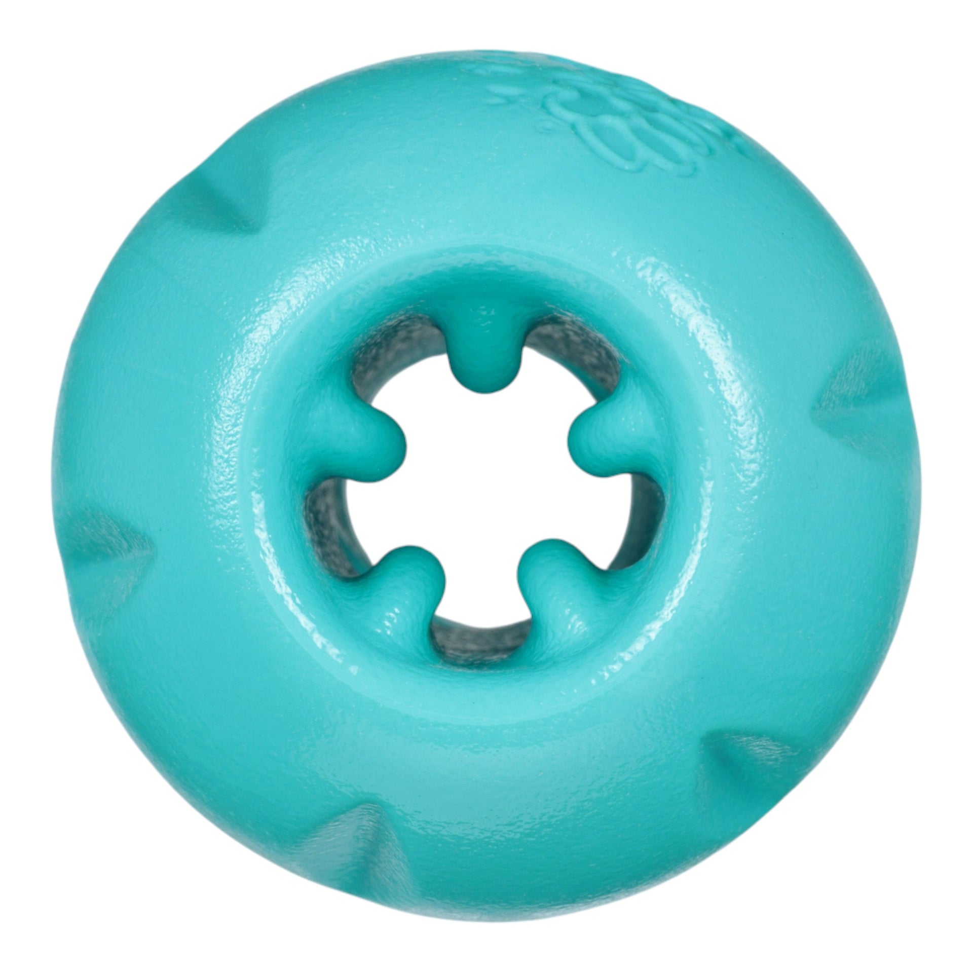 West Paw | Qwizl Teal