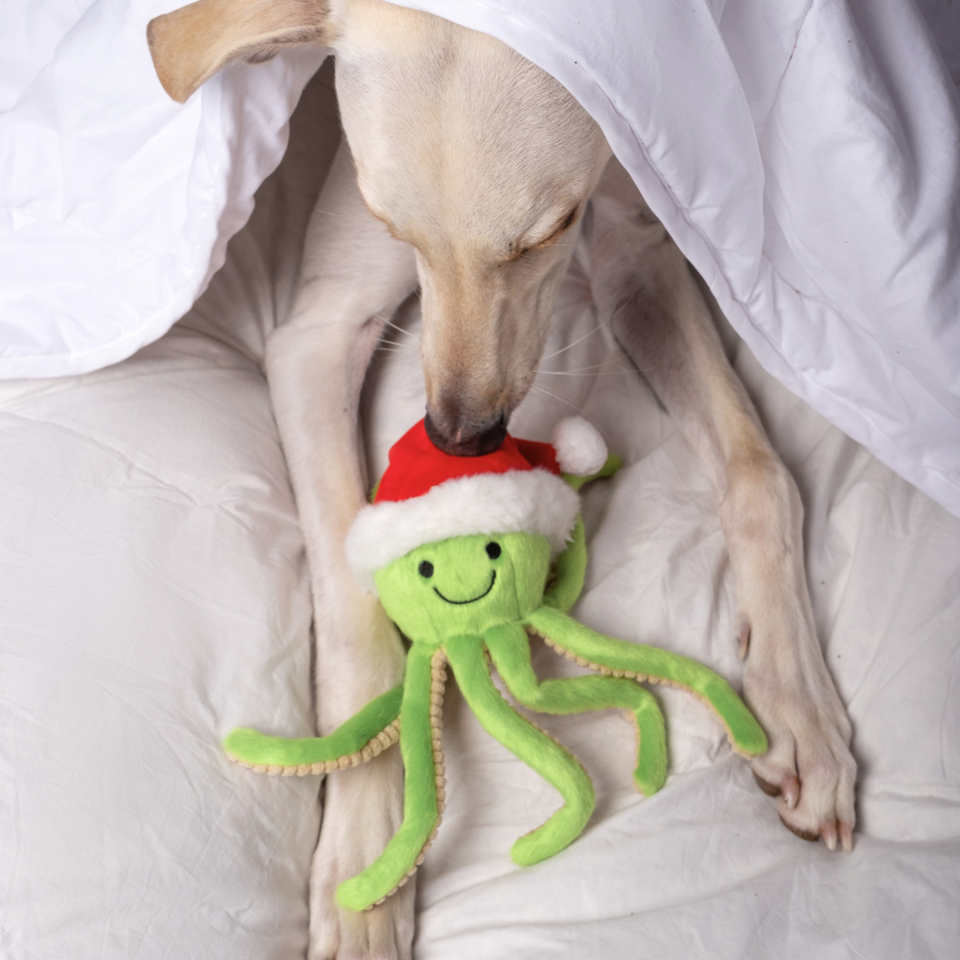 Fluff & Tuff Santa Sprite holiday dog toy shown in a festive lifestyle or play setting.