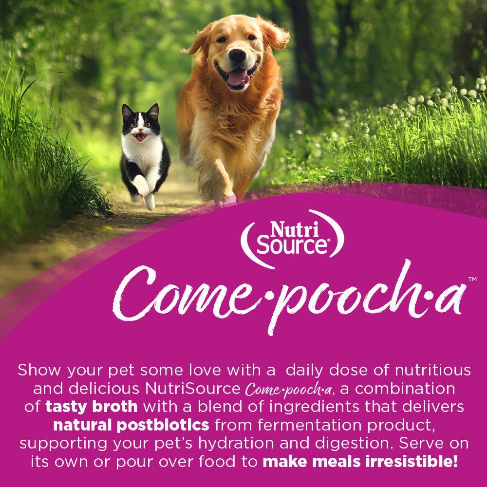 NutriSource Come-Pooch-A Beef wet dog food shown in a lifestyle setting highlighting its premium ingredients.