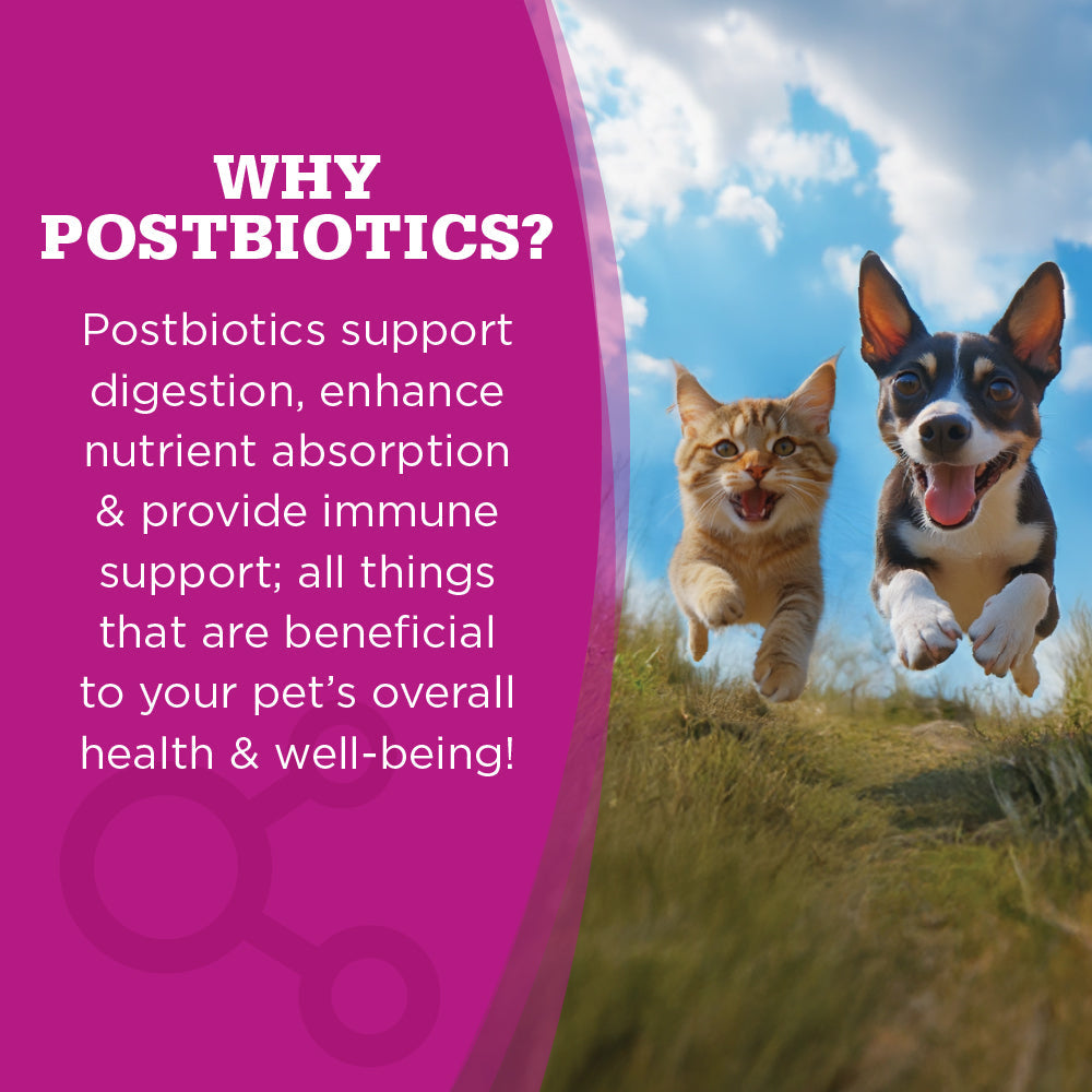 NutriSource Come-Pooch-A Beef wet dog food packaging showing a close-up detail of ingredients or branding.