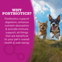 NutriSource Come-Pooch-A Beef wet dog food packaging showing a close-up detail of ingredients or branding.