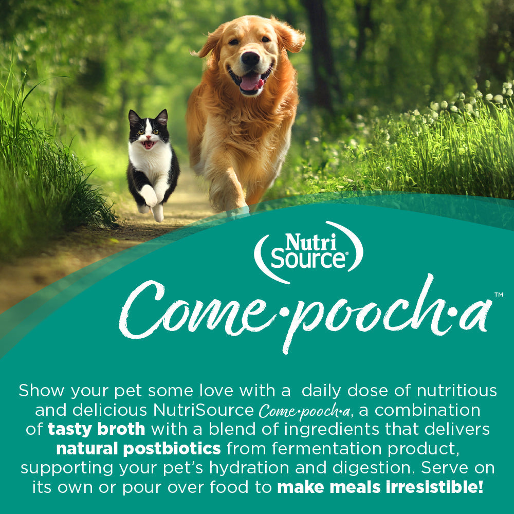 NutriSource Come-Pooch-A Turkey wet dog food shown in a lifestyle setting highlighting serving or use.