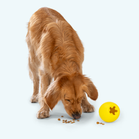 West Paw | Rumbl