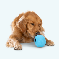 West Paw | Rumbl