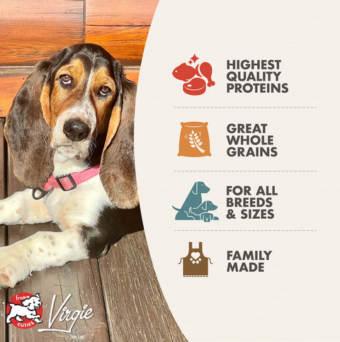 Fromm Gold Adult dog food kibble pieces displayed close-up showing texture and quality ingredients.
