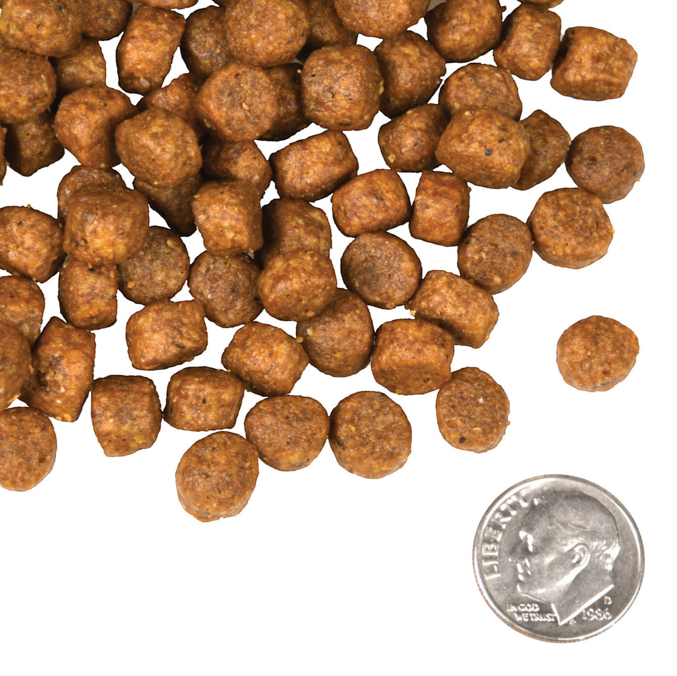 Fromm Four Star Beef Frittata dog food bag showing nutritional information panel and feeding guidelines.
