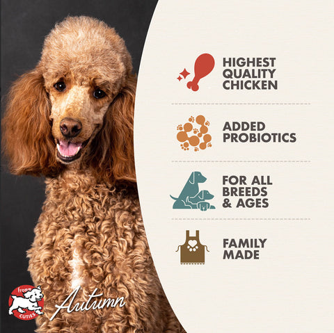 Fromm Four Star Chicken A La Veg dry dog food kibble displayed in a feeding bowl or lifestyle setting.