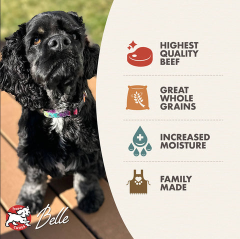 Fromm Beef & Barley Pâté wet dog food can shown from side angle displaying nutritional information panel.