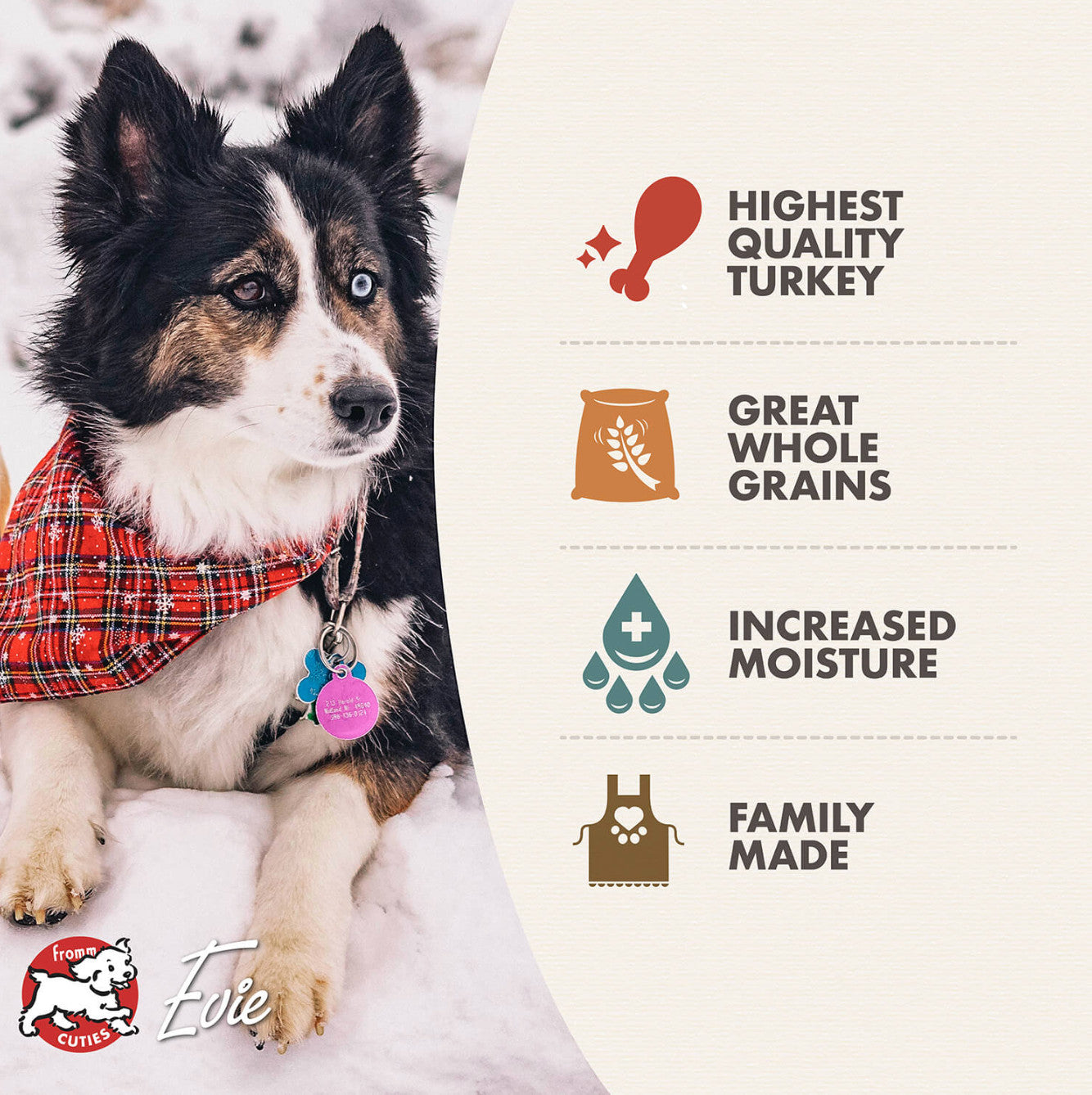 Fromm Turkey Pâté wet dog food can displayed in a lifestyle setting or feeding context.