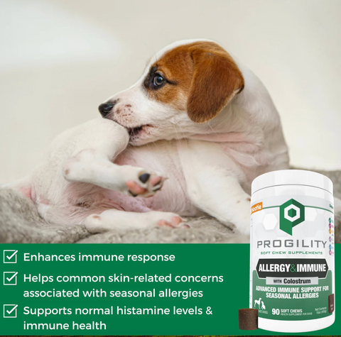 Nootie Progility Allergy Soft Chews 90-count bottle shown from side angle displaying product label and packaging details.