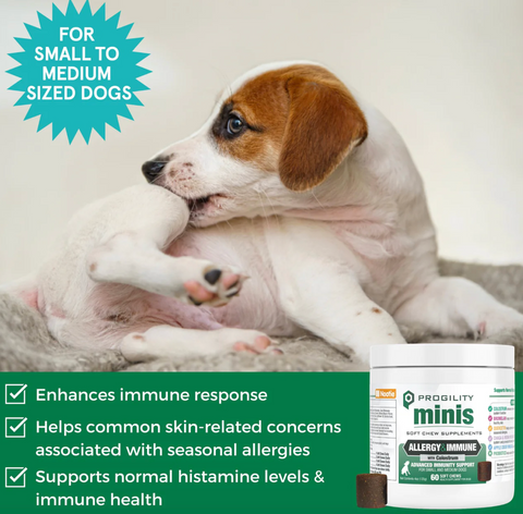 Nootie Progility Mini Allergy Soft Chews 60-count bottle shown from side angle displaying product label details.