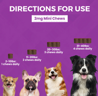 Nootie | Progility | Mini Calming Soft Chew 60ct