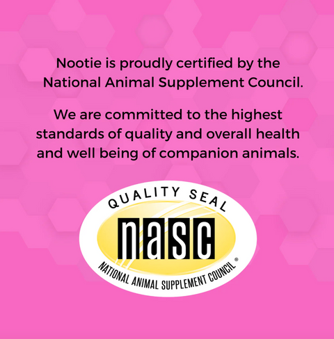 Nootie | Progility | Pre & Probiotic Soft Chew 90ct