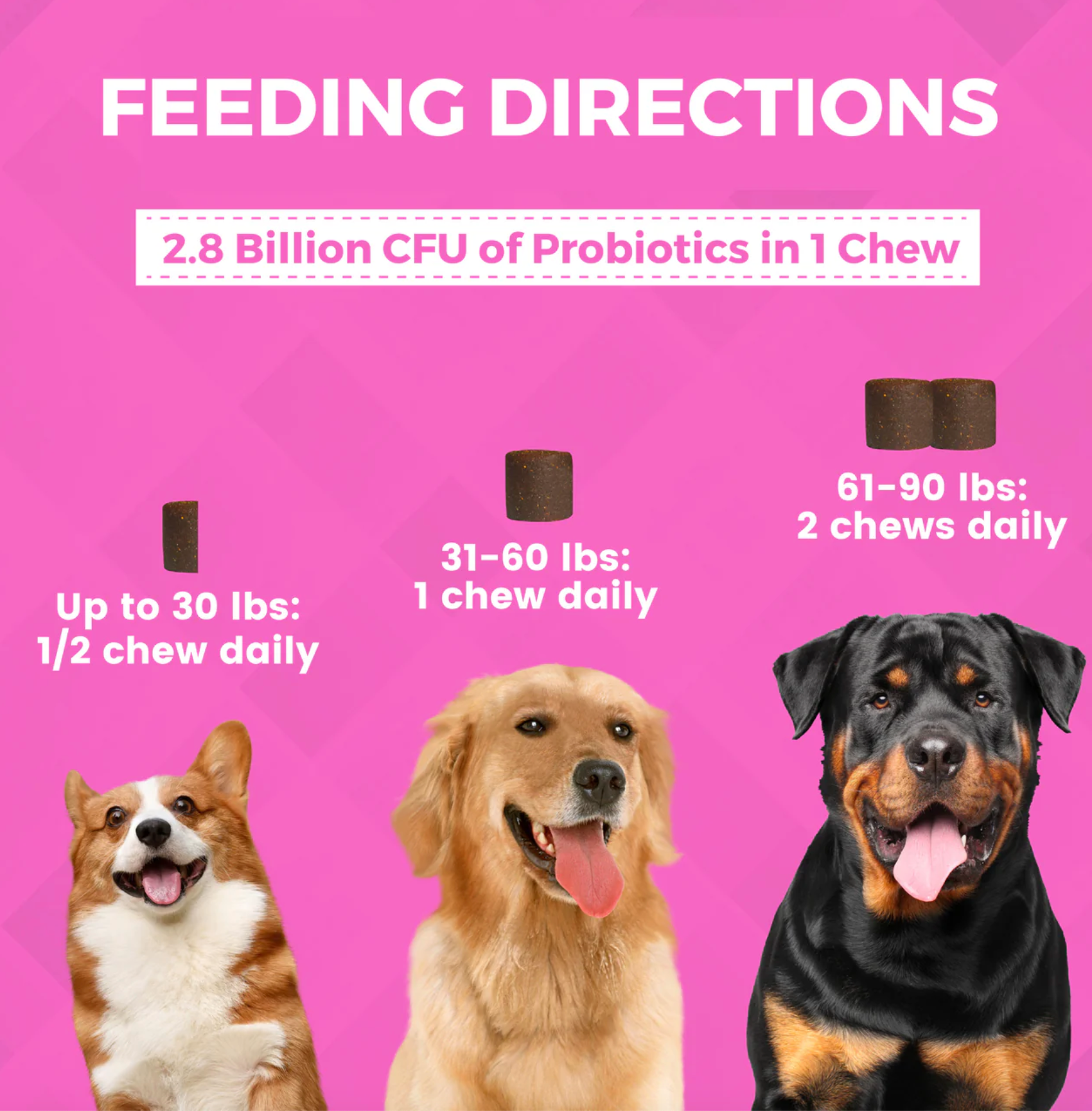 Nootie | Progility | Pre & Probiotic Soft Chew 90ct