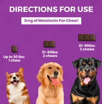 Nootie | Progility | Calming Soft Chew 90ct