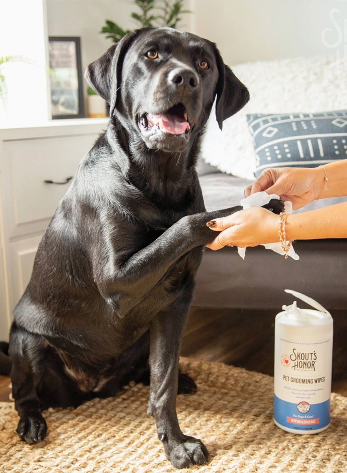 Skout's Honor Grooming Wipes packaging showing product details, ingredients, or size reference on reverse side.