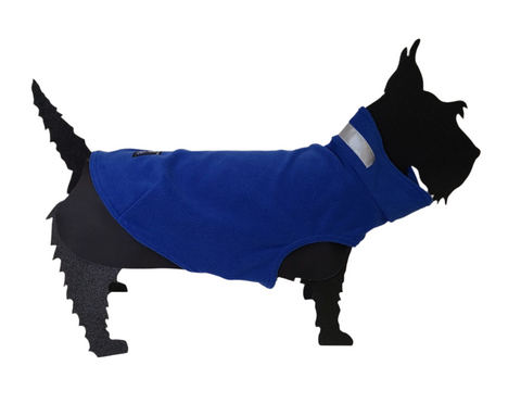 Teckelklub | The Fuzzie | Royal Blue