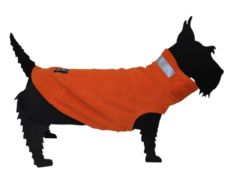 Teckelklub | The Fuzzie | Orange