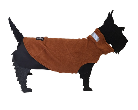 Teckelklub | The Fuzzie | Cinnamon