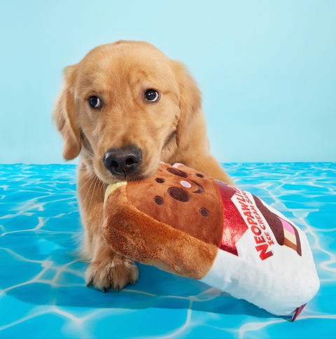 BARK | Grand Slam Ice Cream Sam