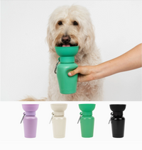 Springer | Water Bottle